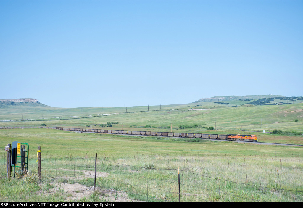 Loaded Coal south of Larkspur